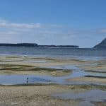 Mt. Maunganui Bay of Plenty