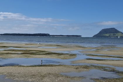 Mt. Maunganui Bay of Plenty