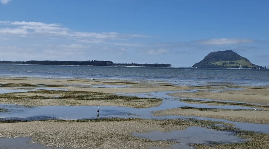 Mt. Maunganui Bay of Plenty